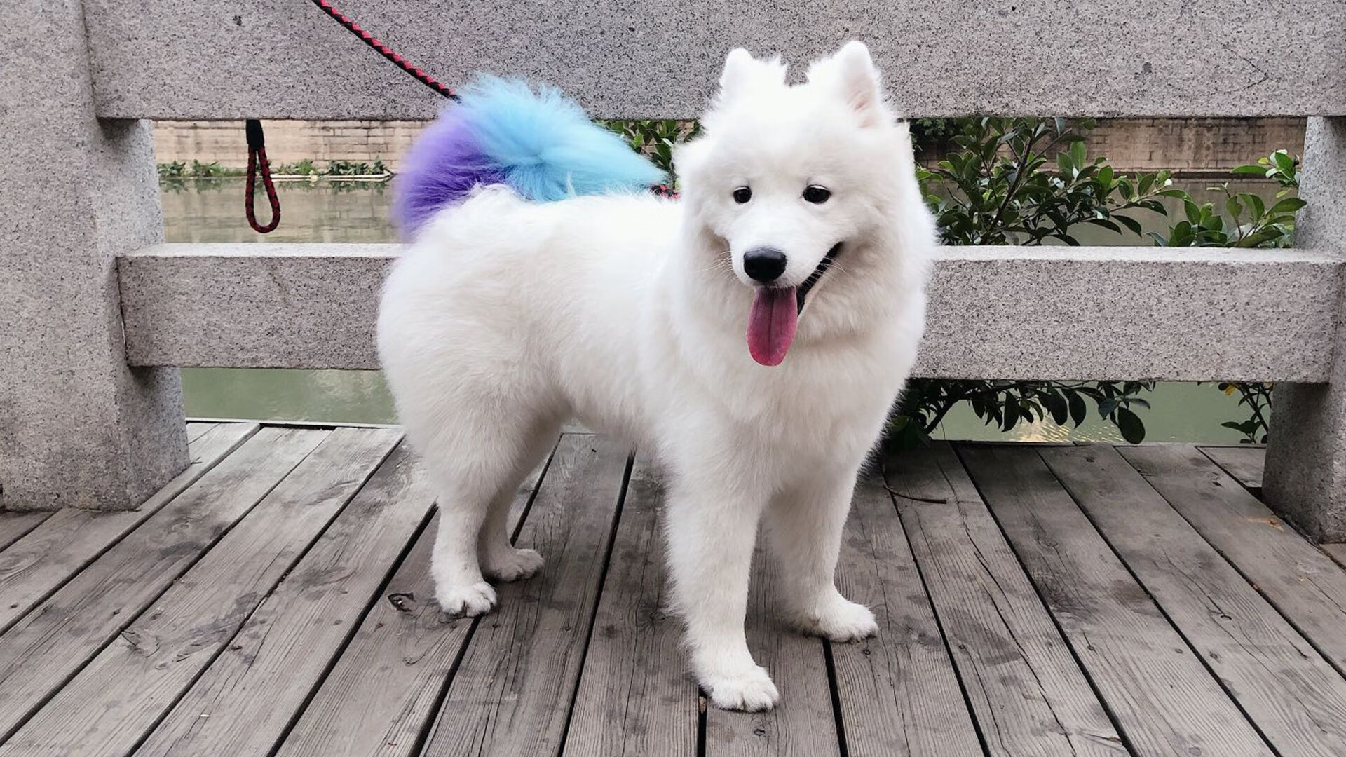 Kaiyun APP-“冠军悬念持续升级:排名变幻牵动百万粉丝心”,《冠军》