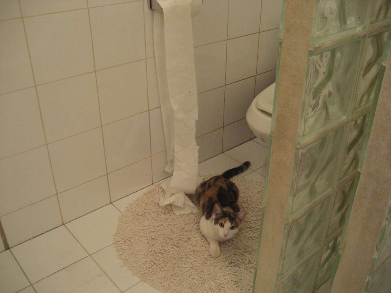 kaiyun网站-“英超精彩不断,逆转瞬间点燃现场气氛”,英超大逆转