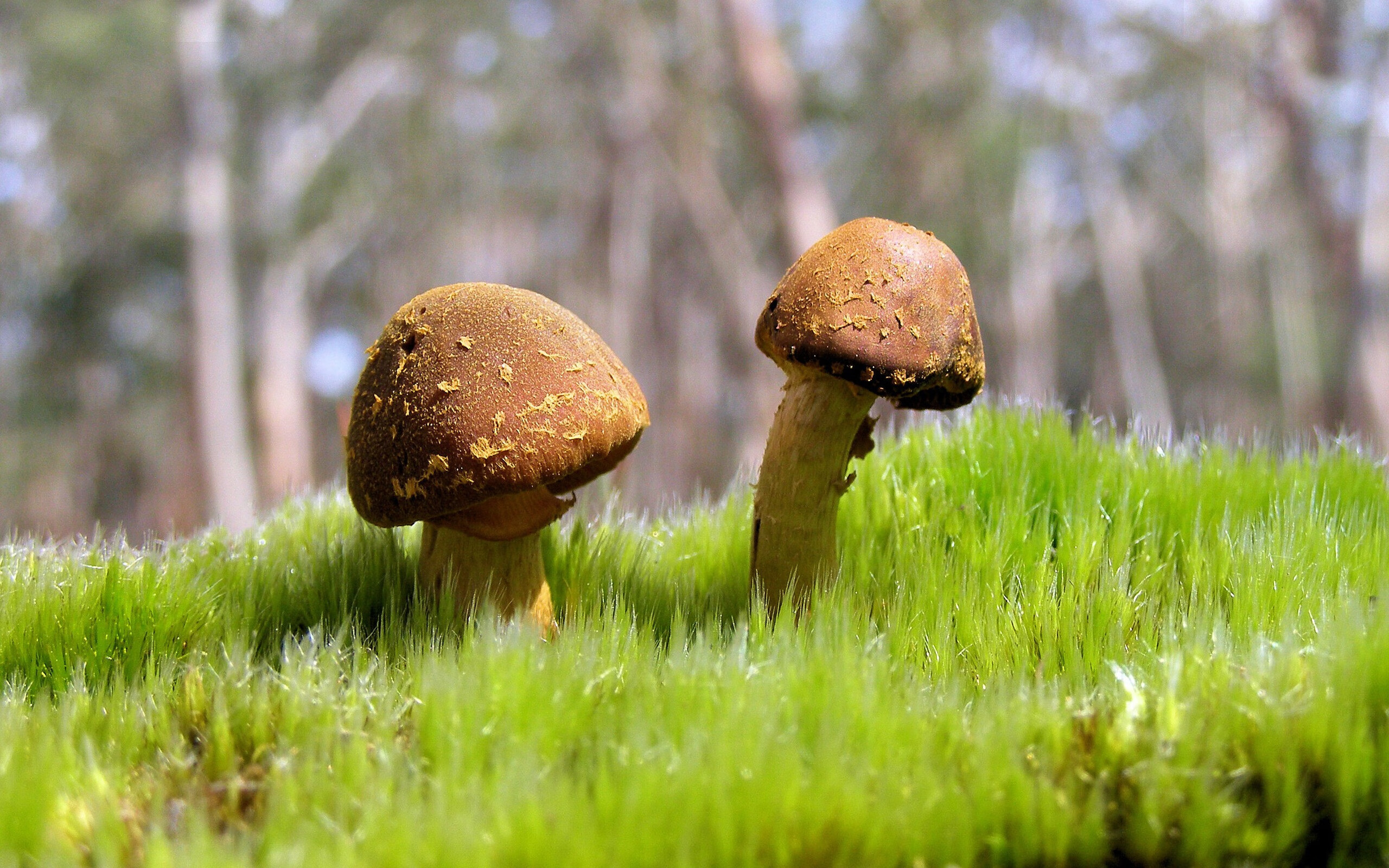 kaiyun登录入口-“英超战局紧绷，球队皆在为高位拼杀”，英超太强