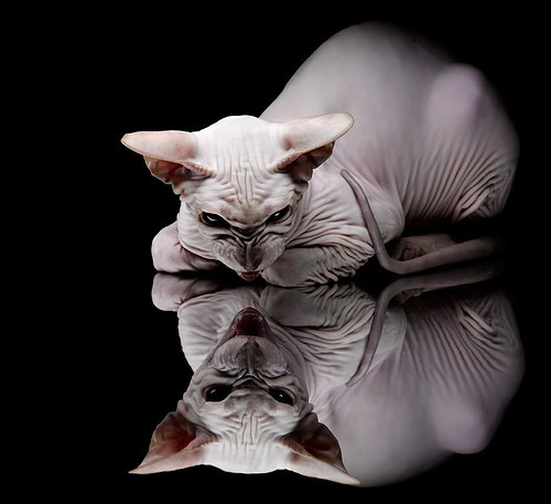 KAIYUNAPP-《高校电竞专业快速发展,行业人才供需平衡待解》,电竞成为高校专业