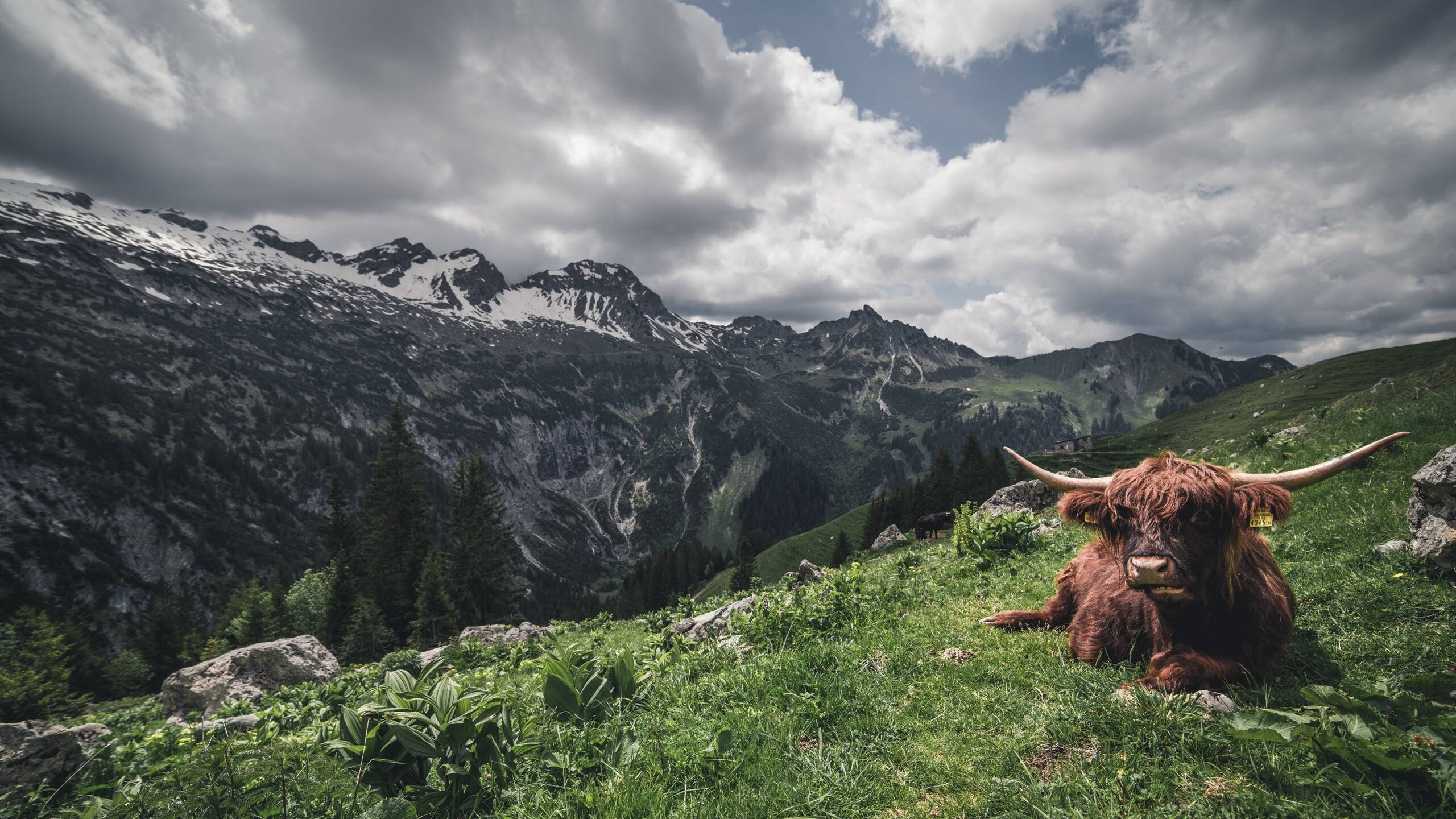 开云kaiyun-今年联盟中场得分最高的五位球员榜单出炉,今年联盟中场得分最高的五位球员榜单出炉了吗