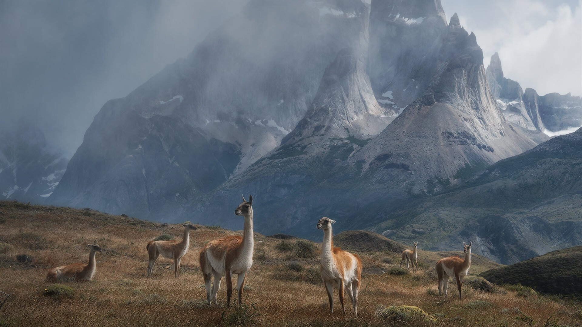 开云体育APP下载-心理抗压:冠军车手的比赛心态揭秘,赛车手心理素质