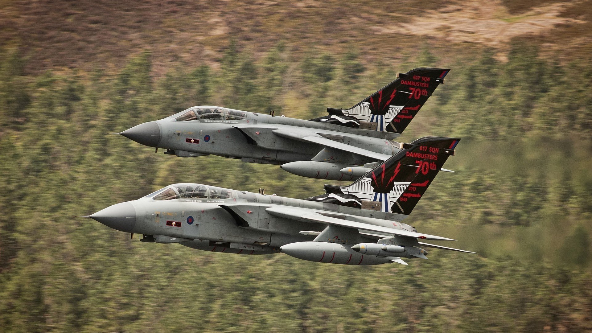 kaiyun体育综合-日本马术协会举办“Sinjska Alka”文化交流活动，促进传统文化传承。