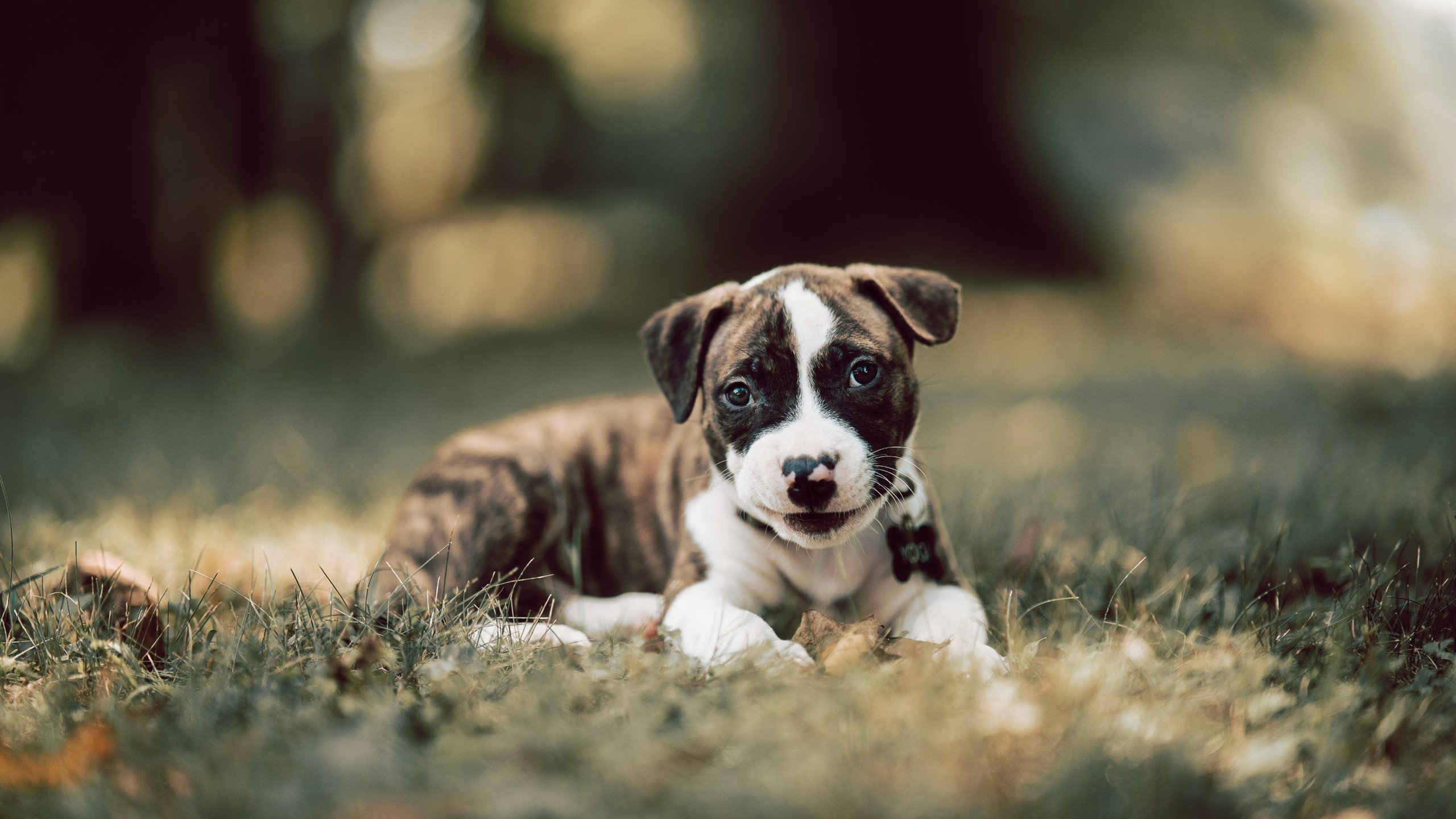 KAIYUN 中国大陆-特色山地露营运动节,亲密自然享受运动乐趣,山地露营基地