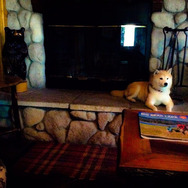 开云官网APP下载-篮球职业联赛赛事数据可视化分析，篮球赛事分析app