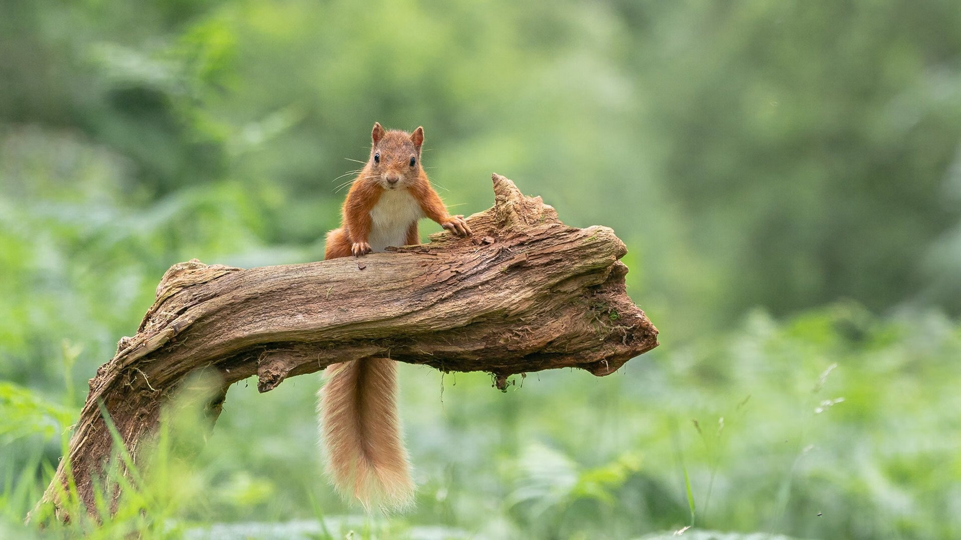 开云中国大陆-青少年极限摇滚攀岩，勇攀高峰的热血体验，攀岩 青少年