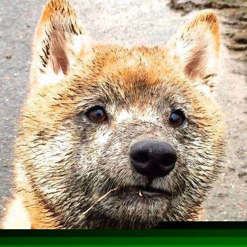 开云网页版登录入口-全球篮球大战：顶级赛场燃情绽放英雄荣耀，全球篮球比赛