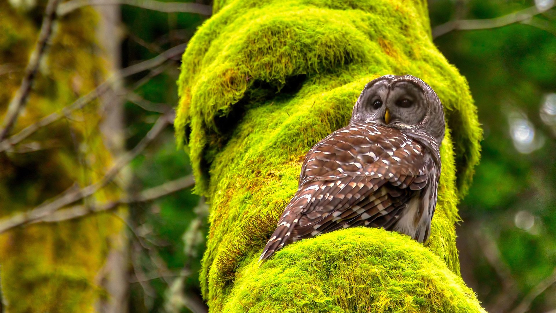 开云网页版登录入口-新赛季揭幕战 吸引万人围观 瞩目zhan，新赛季预告