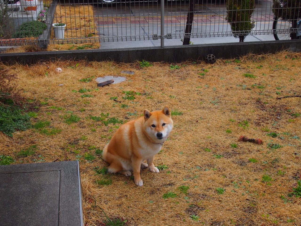 开云·Kaiyun网页版-曼联明星新援在比赛中表现出色,助球队取胜,曼联足球最新引援