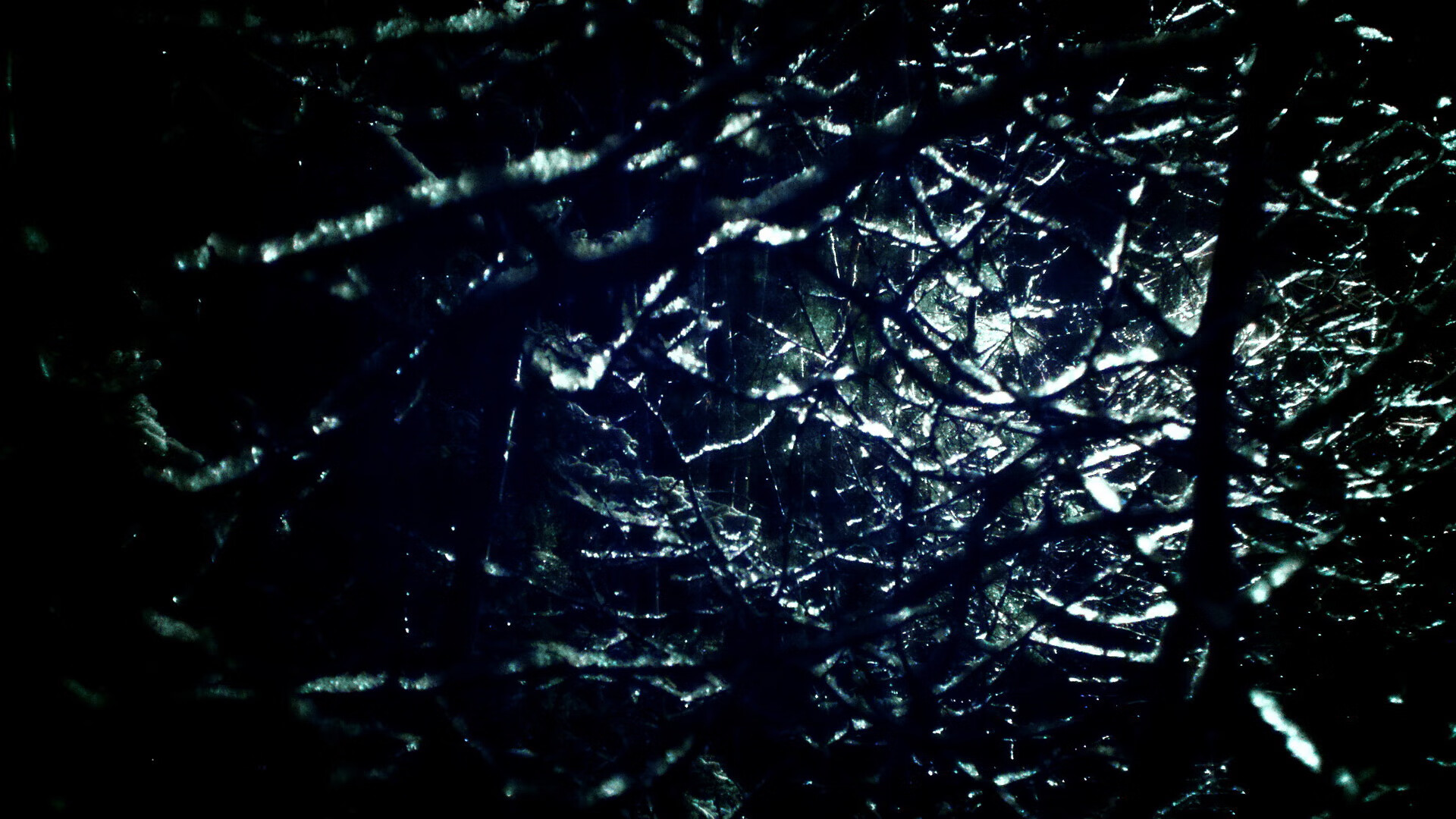 kaiyun开云·官方网站-洛杉矶FC球迷组织举办庆祝活动,支持球队,洛杉矶fc今天比赛