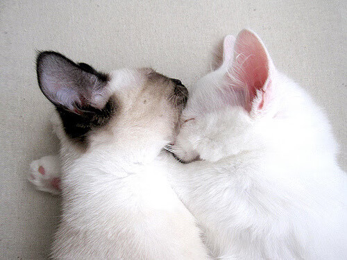 开云网页版登录入口-瓦拉内复出欧洲杯战力急需恢复状态，瓦拉内16欧洲杯