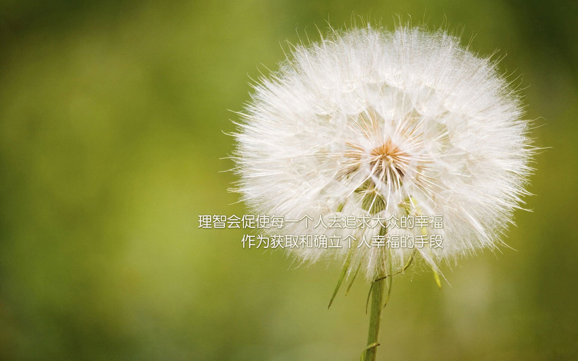 开云平台-美国男足在巴黎奥运会比赛中以2-1战胜葡萄牙,美国男足联赛