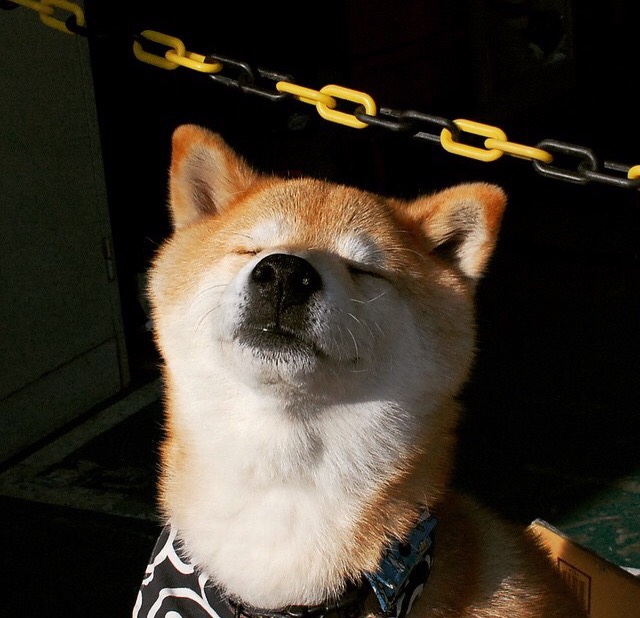 开云平台-美国男足在巴黎奥运会比赛中以2-1战胜葡萄牙,美国男足联赛