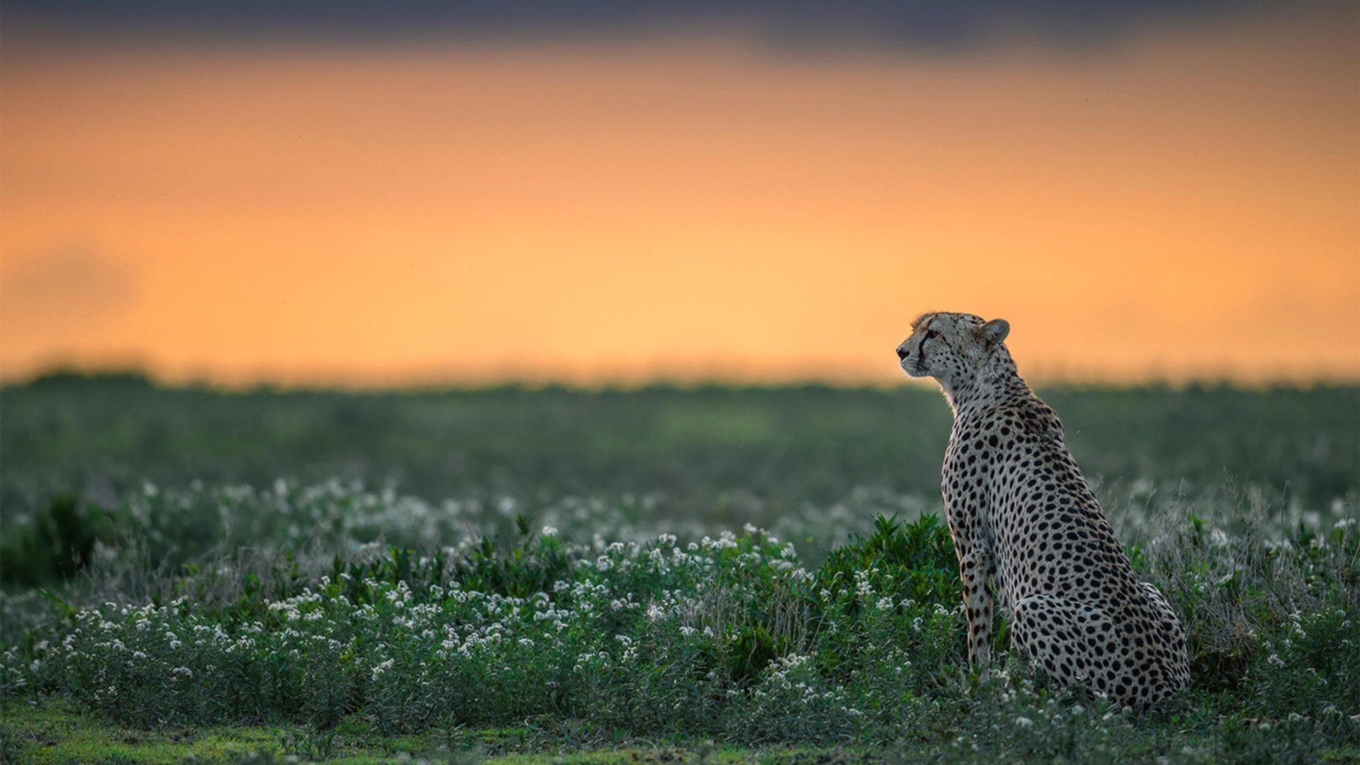 开云·Kaiyun网页版-重磅消息!球员伤情有所好转,或将出战下一场重要比赛,202球员