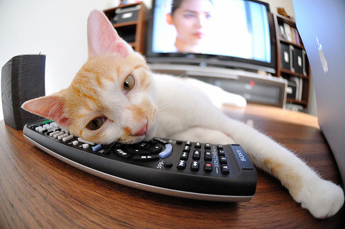 开云官网-未来足球:技术驱动赛事玩法多元化,未来的足球可能长什么样