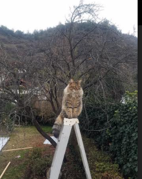 开云体育-CBA联盟完善赛季数据分析标准化体系，cba本赛季数据