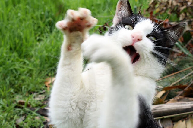 kaiyun.com-国际热身赛国足逆袭 球员拼劲值得肯定，国足热身赛比赛结果