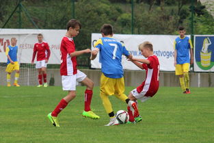 kaiyun体育综合-塞尔维亚实力不断提升，期待在国际大赛中突破