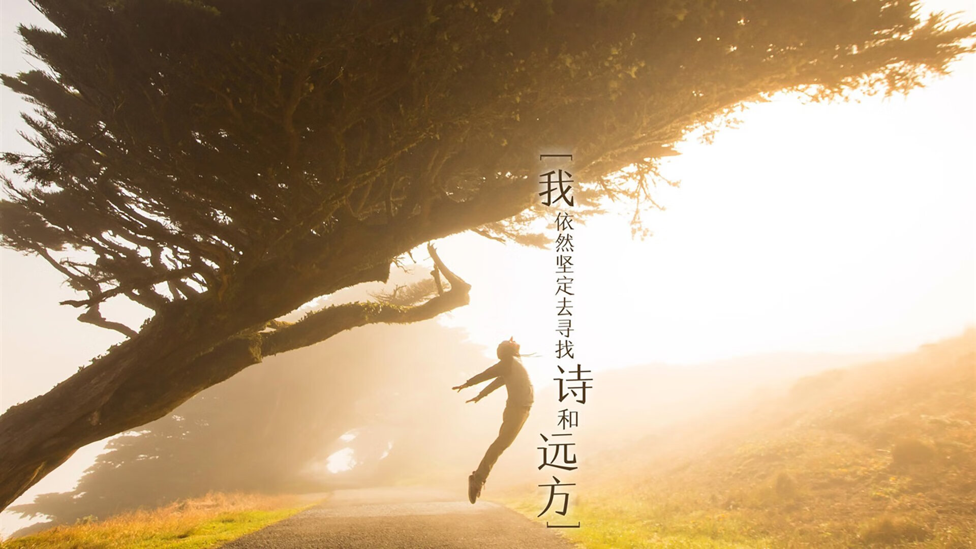 开云体育APP下载-奥康纳在橄榄球冠军锦标赛中再度刷新个人纪录,josh 奥康纳