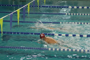 开云体育APP下载-自由泳预赛突尼斯多人晋级，自由泳2021