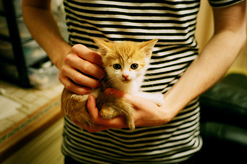 开云中国-赛事器材标准化升级，比赛观感与公平性双赢，体育赛事器材