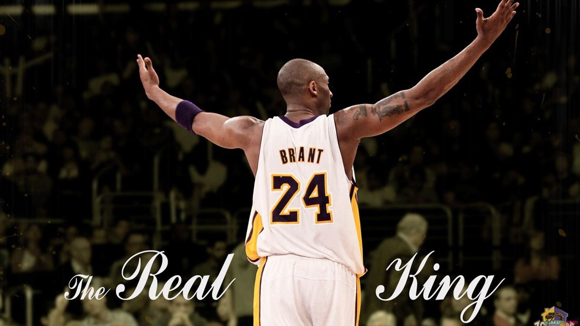 _光影变换：在灯光秀中体验不同的比赛氛围_，光影秀表演